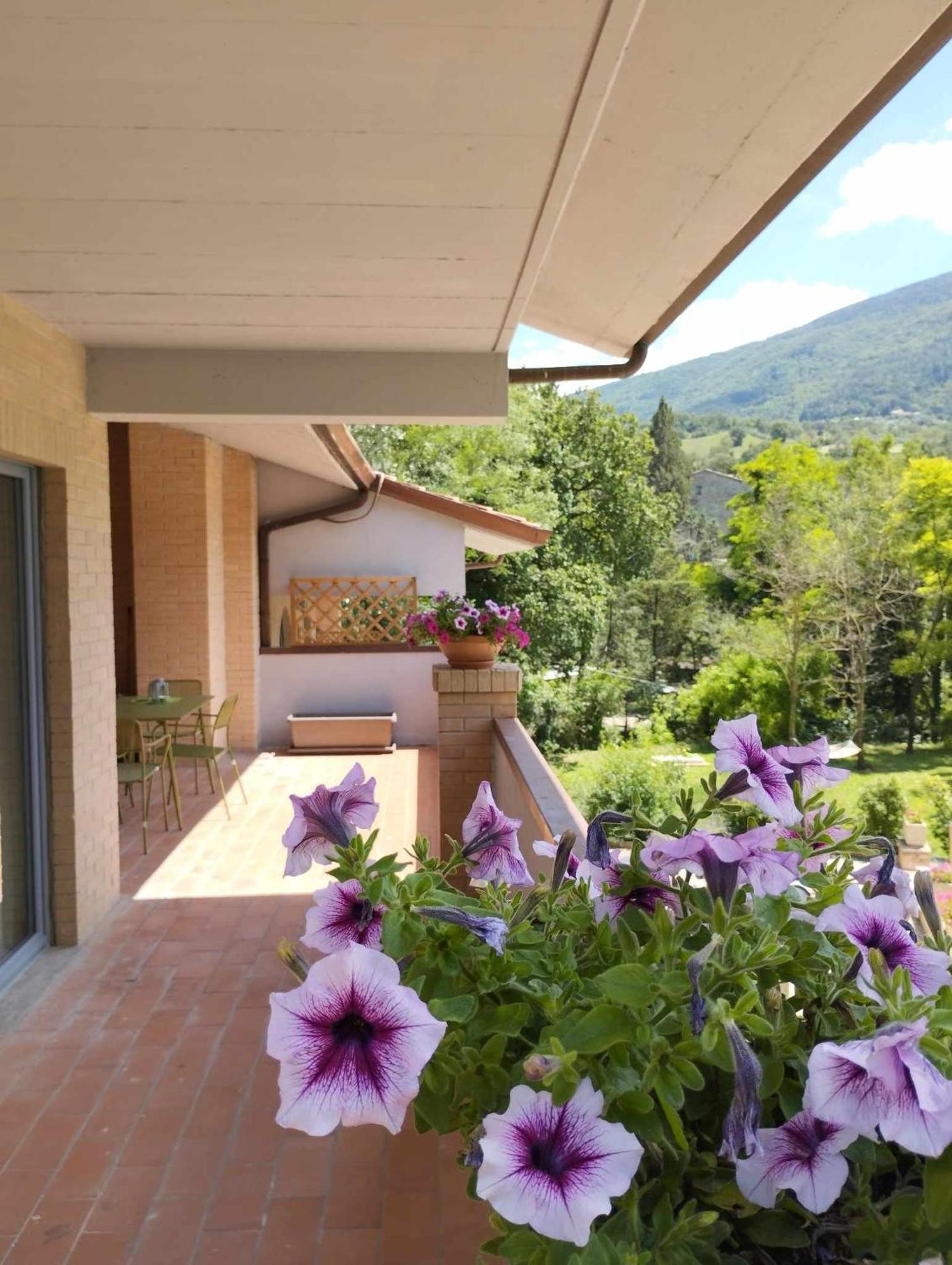 Pianpieve Nature & Relax Apartments Assis Exterior foto