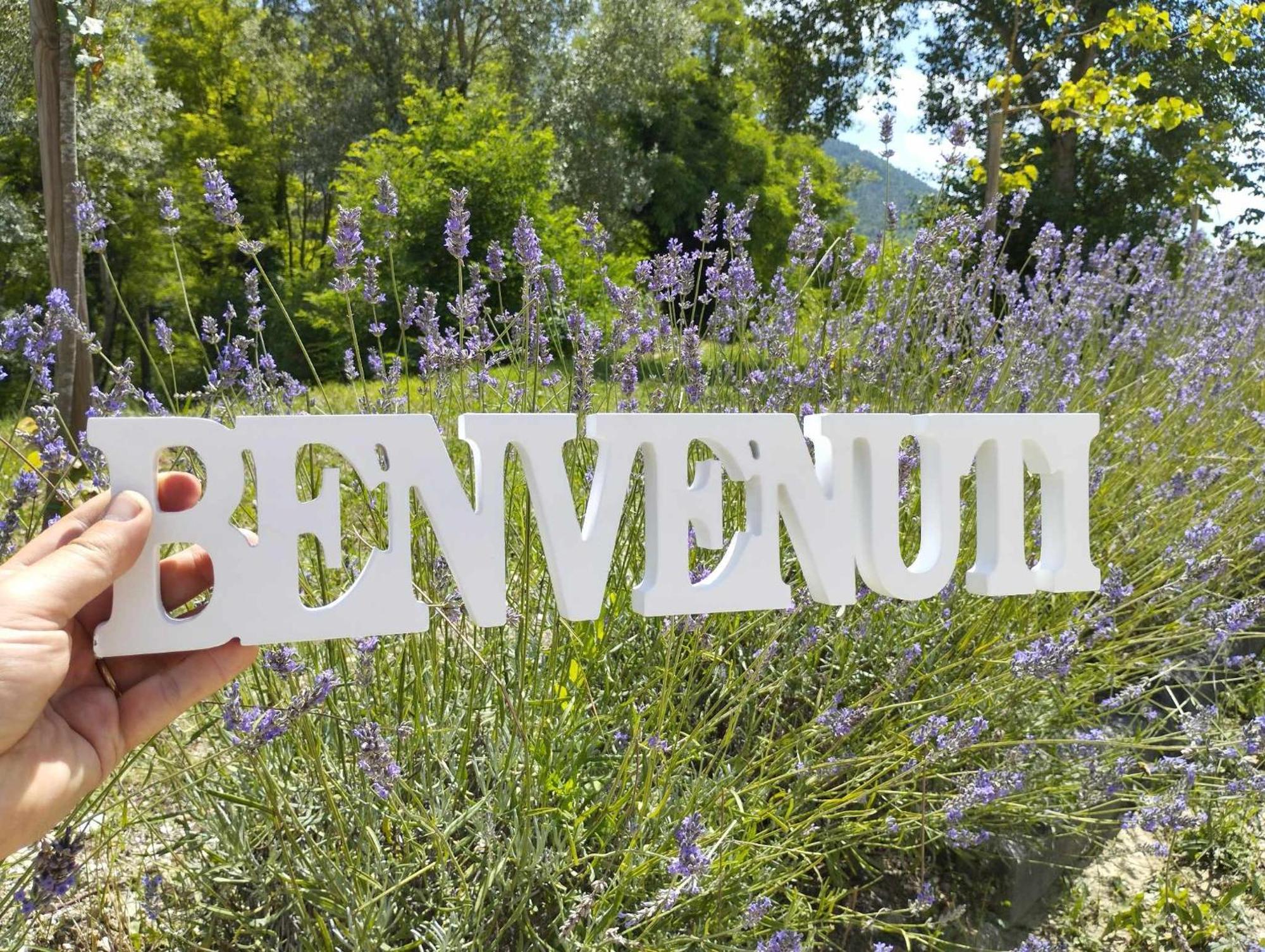 Pianpieve Nature & Relax Apartments Assis Exterior foto