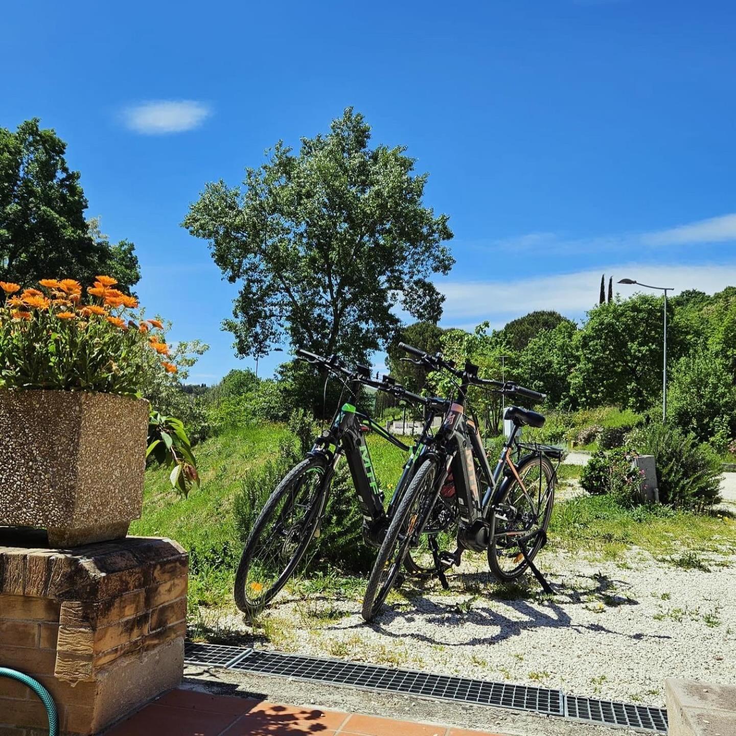Pianpieve Nature & Relax Apartments Assis Exterior foto